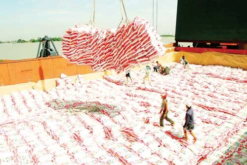 Do khó khăn về lãi suất, tỷ giá nên DN trong nước không đủ vốn thu mua nông sản. Ảnh: LÃ ANH